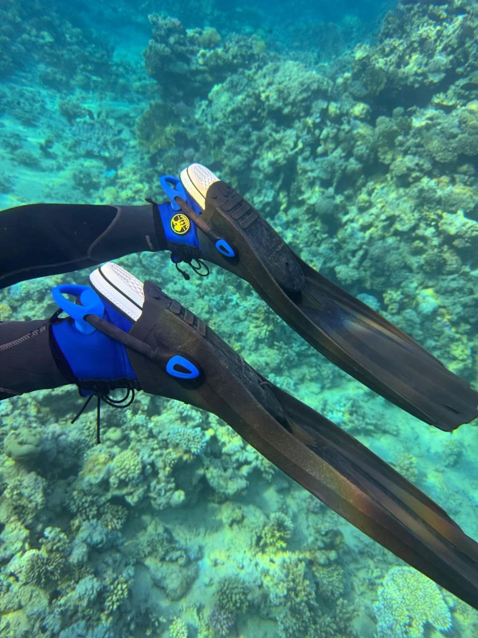 Ocean, SUP and Diving